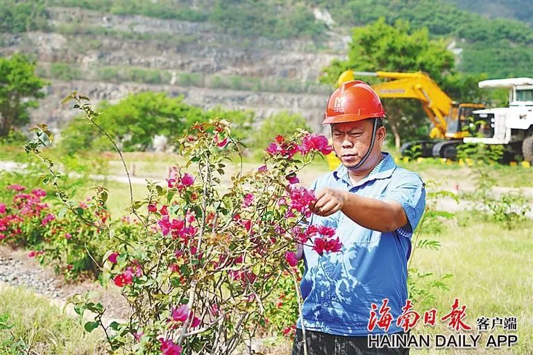 海南这座矿山，为何这么绿？4.jpg