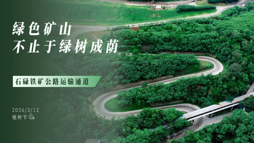 植树节 | 绿色矿山，不止于绿树成荫